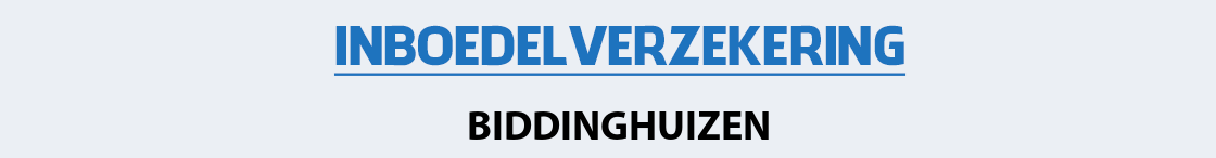 inboedelverzekering-biddinghuizen