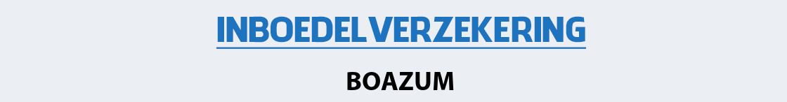 inboedelverzekering-boazum