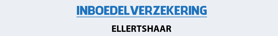 inboedelverzekering-ellertshaar