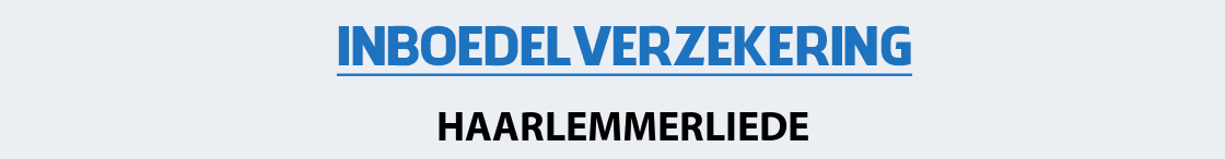 inboedelverzekering-haarlemmerliede