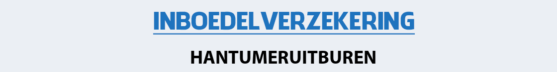 inboedelverzekering-hantumeruitburen