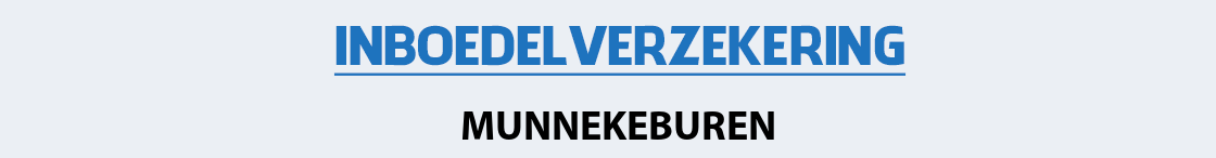 inboedelverzekering-munnekeburen