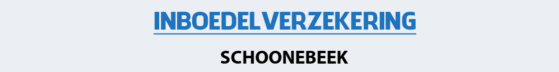 inboedelverzekering-schoonebeek