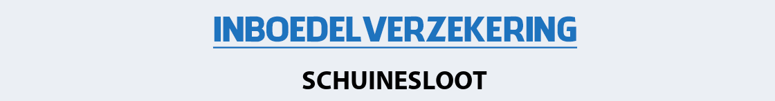 inboedelverzekering-schuinesloot