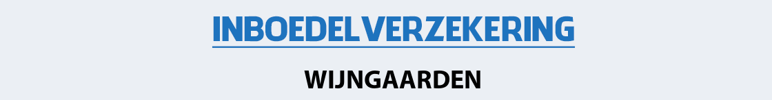 inboedelverzekering-wijngaarden